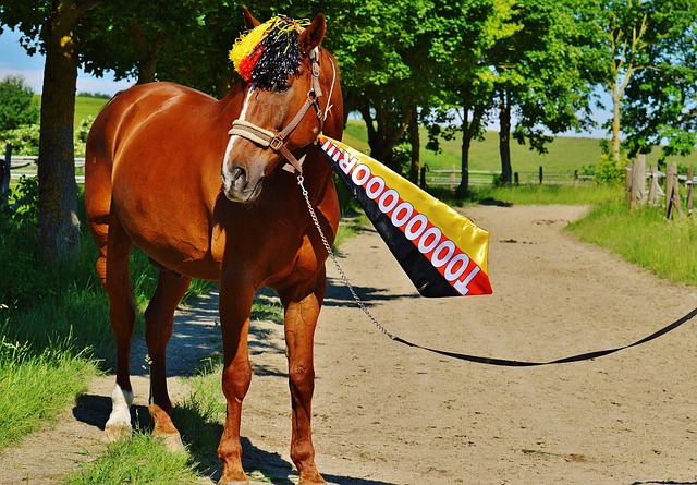 都是逆袭的 都是逆袭的
