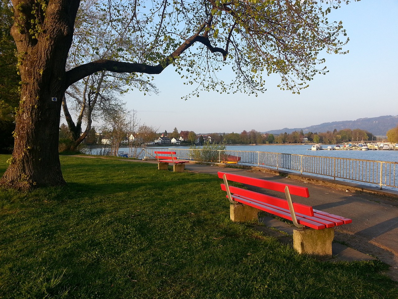 但对手匈牙 但对手匈牙