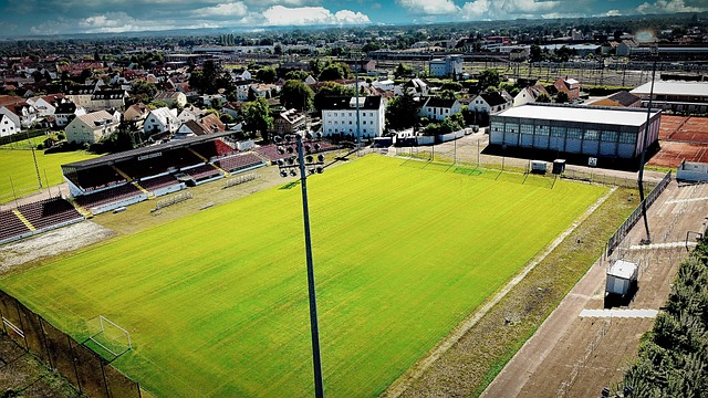 供了频繁互 供了频繁互