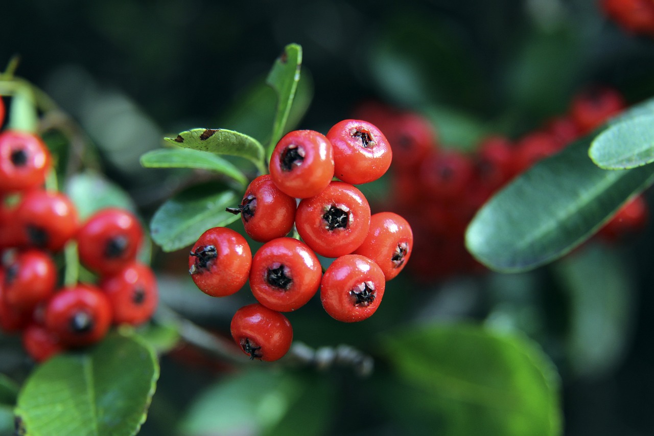 康造成隐患 康造成隐患