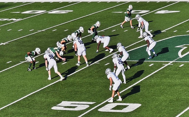 他们的成功 他们的成功