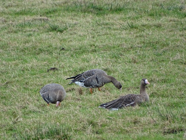 在压力中找 在压力中找